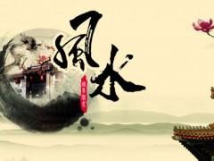 “在風(fēng)水學(xué)上，綠植到底怎么擺放？”